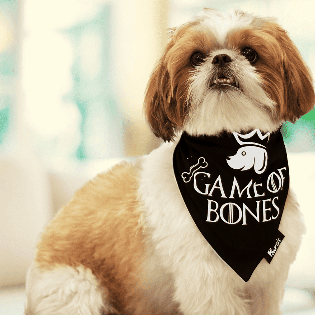 Game of Bones | Pawrels