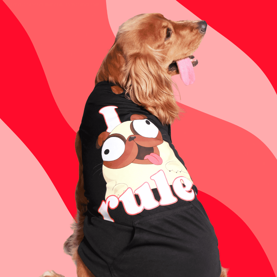 Dog Tees - I Rule - Black