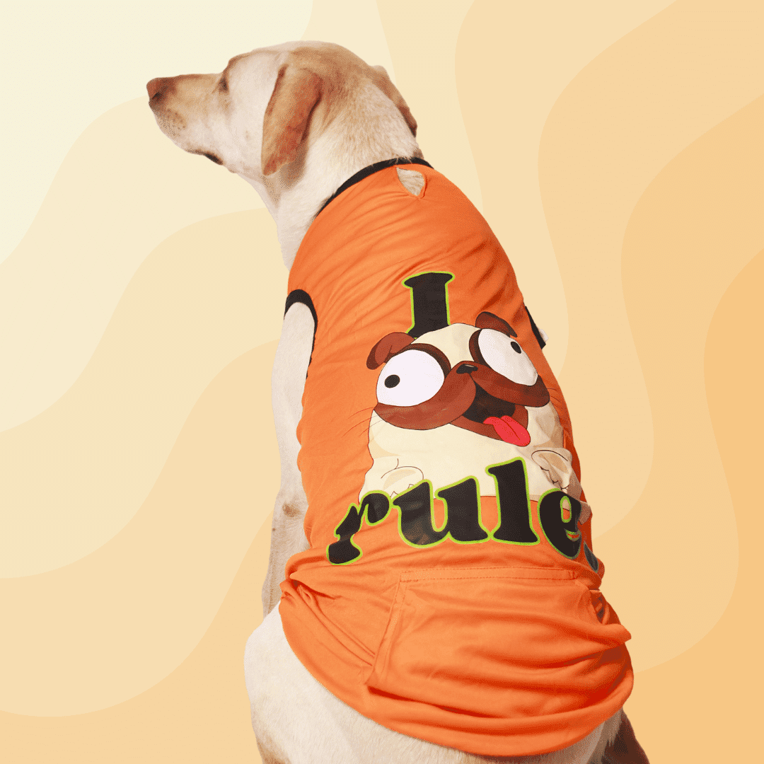 Dog T-shirts - I Rule - Orange