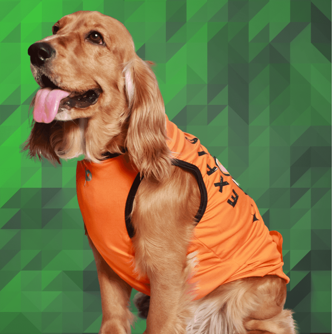 T-Shirts for Dogs - Explorer - Orange