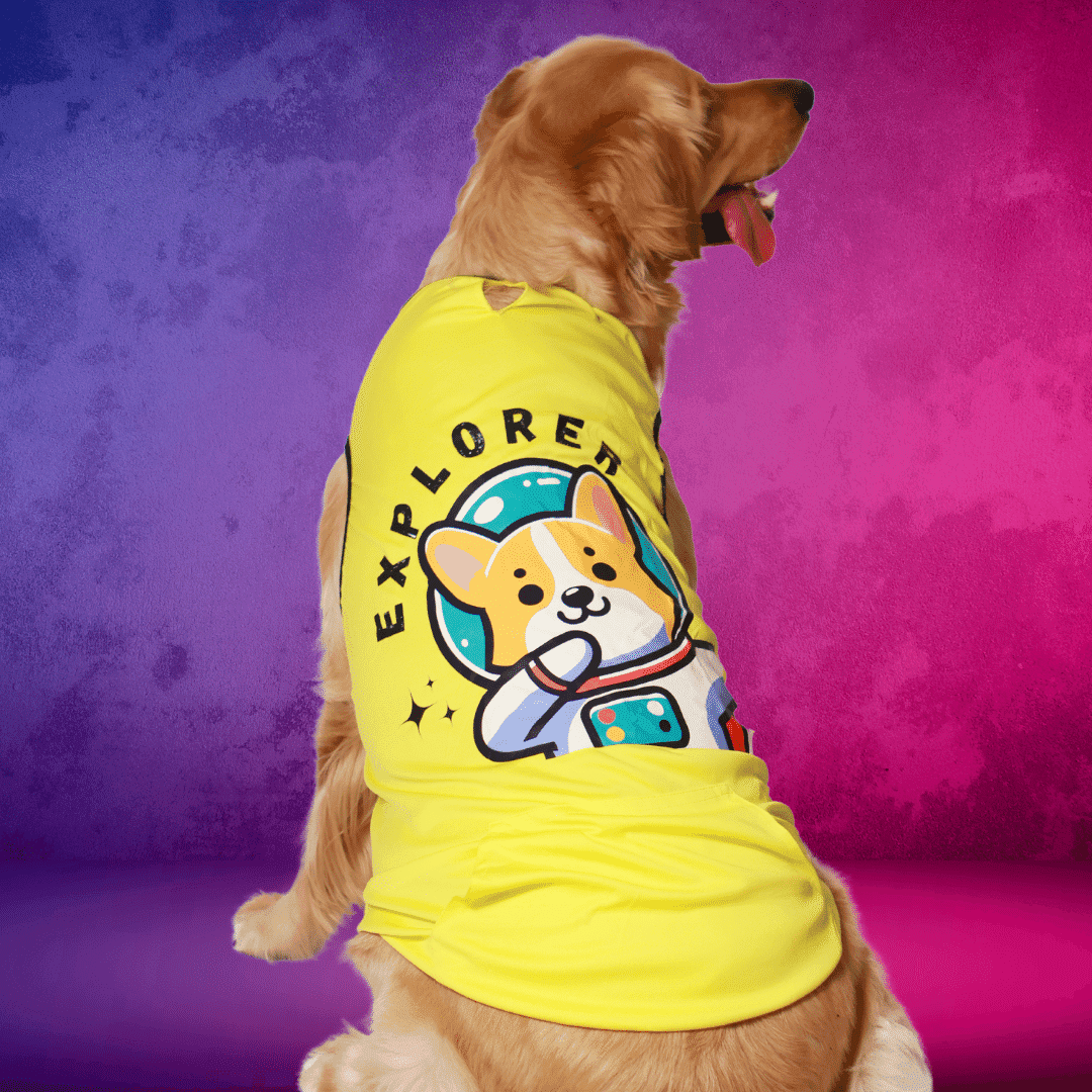 T-Shirt for Dogs - Explorer - Yellow