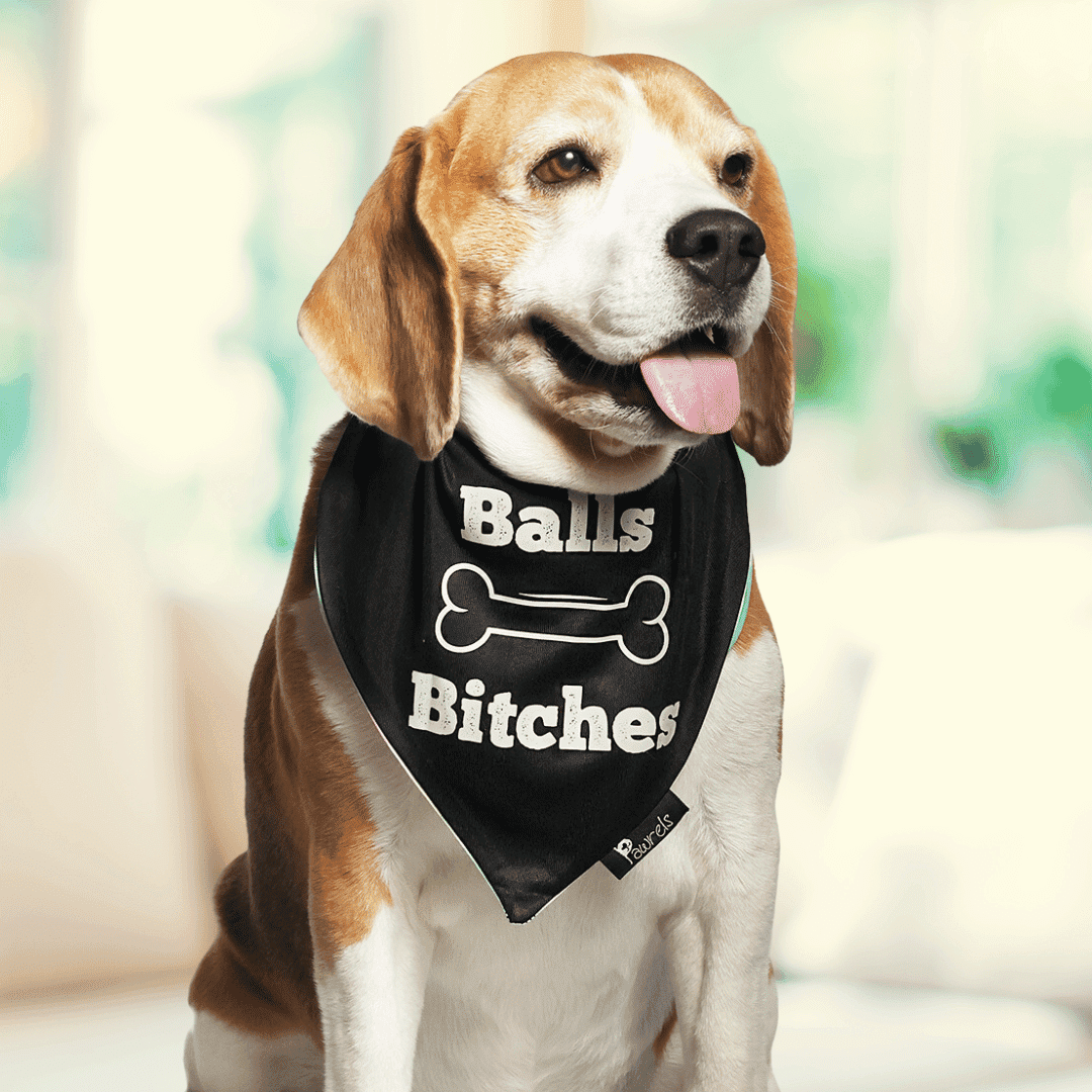 Balls N Bitches Bandana