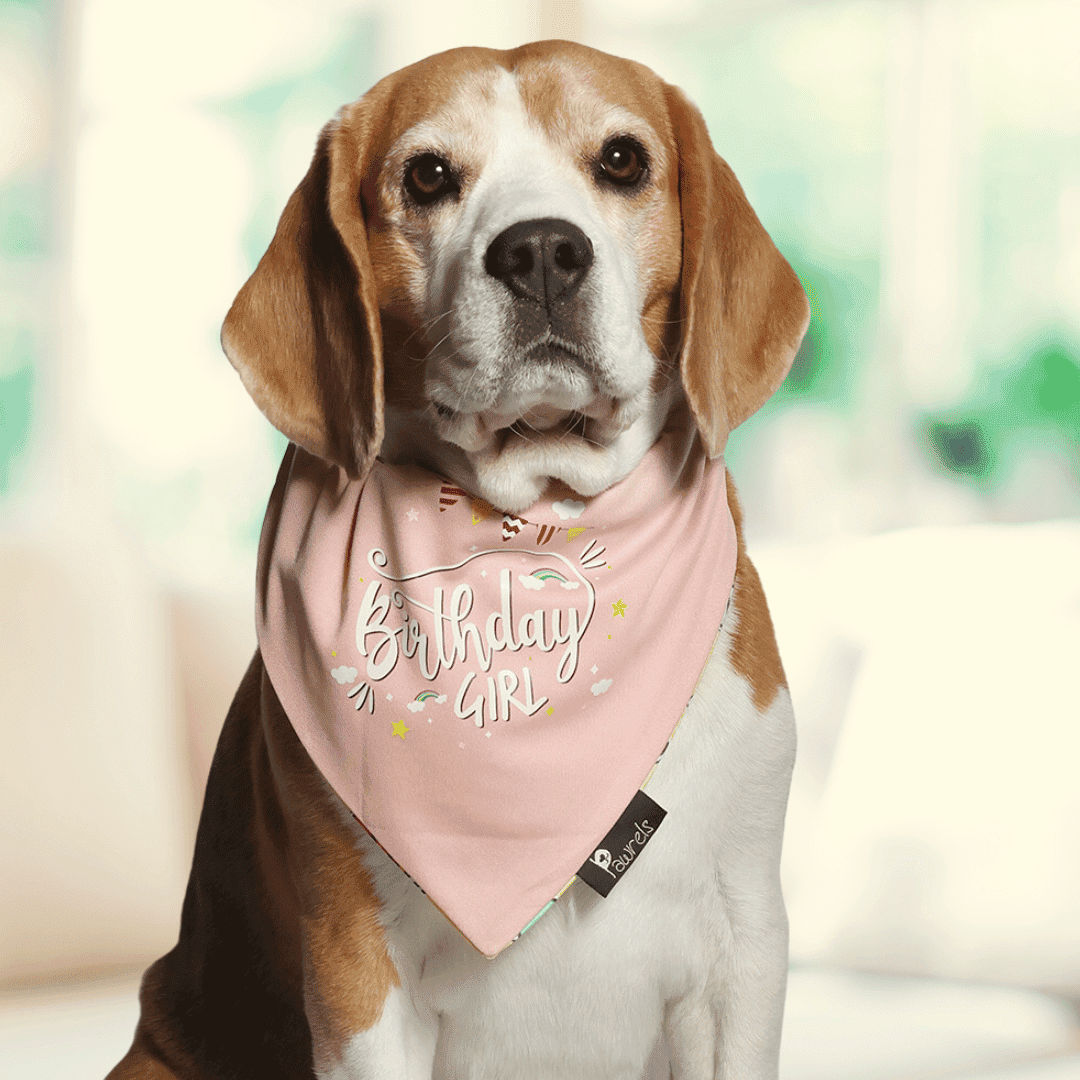 Birthday Girl Bandana