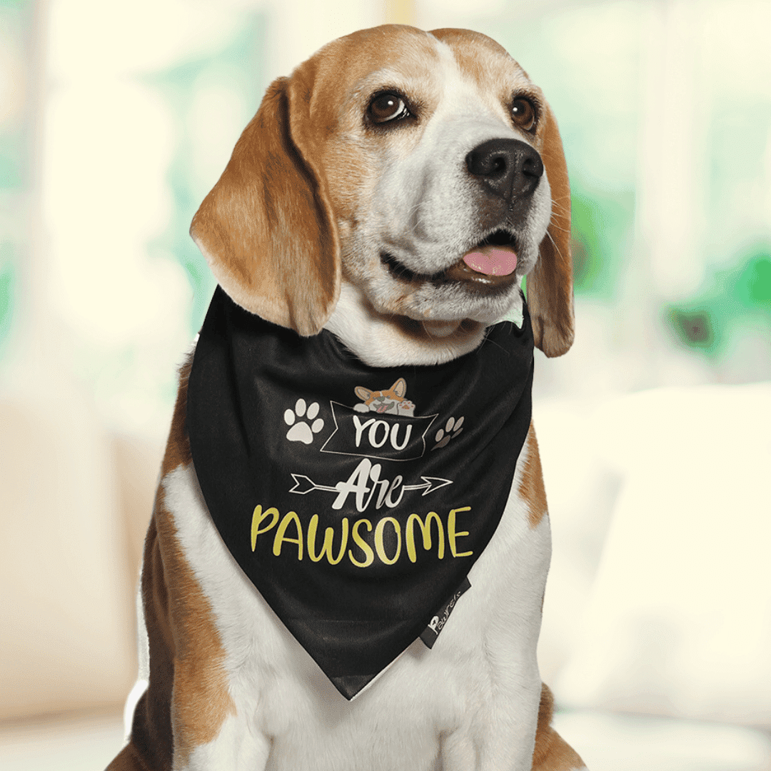 Pawsome Bandana