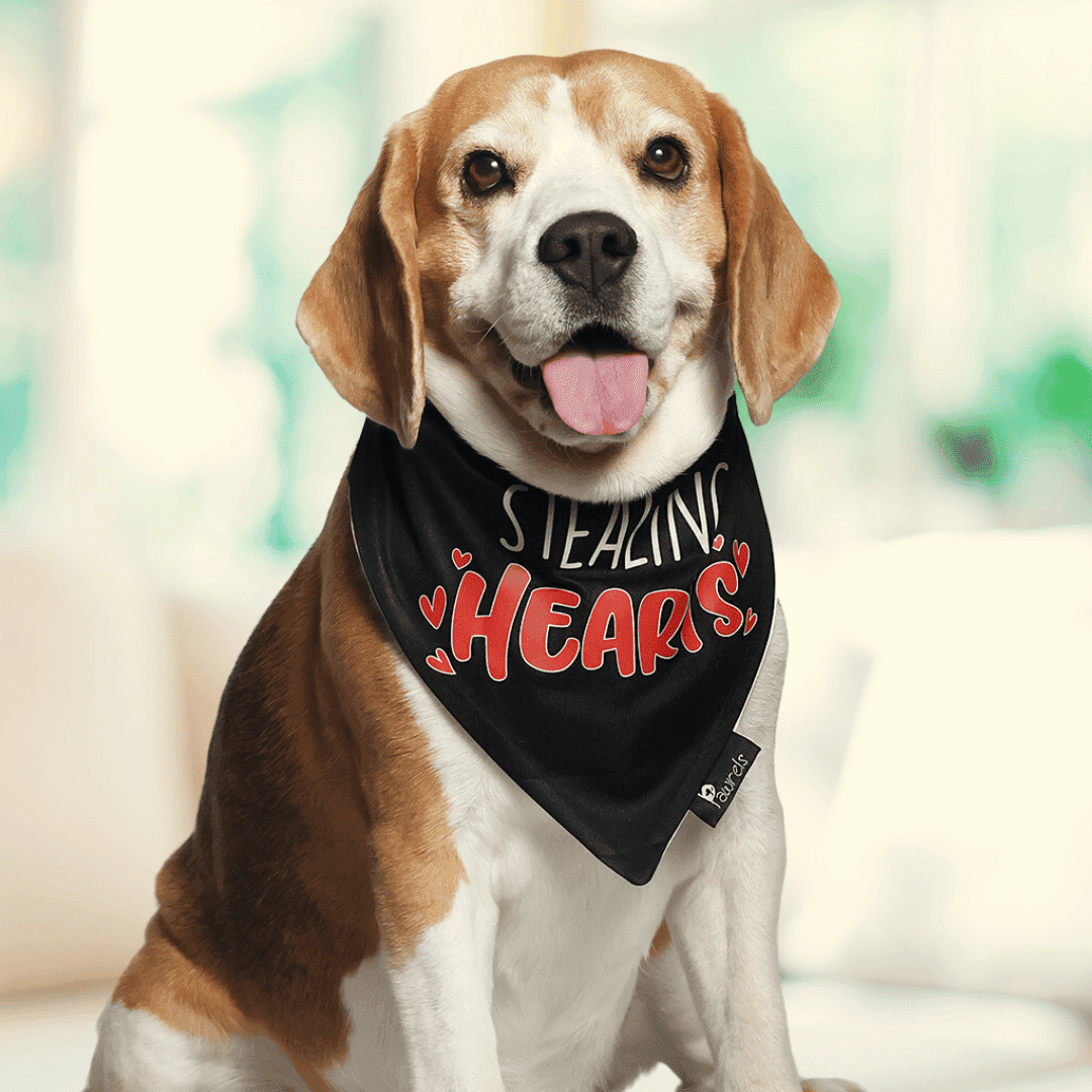 Stealing Hearts Bandana