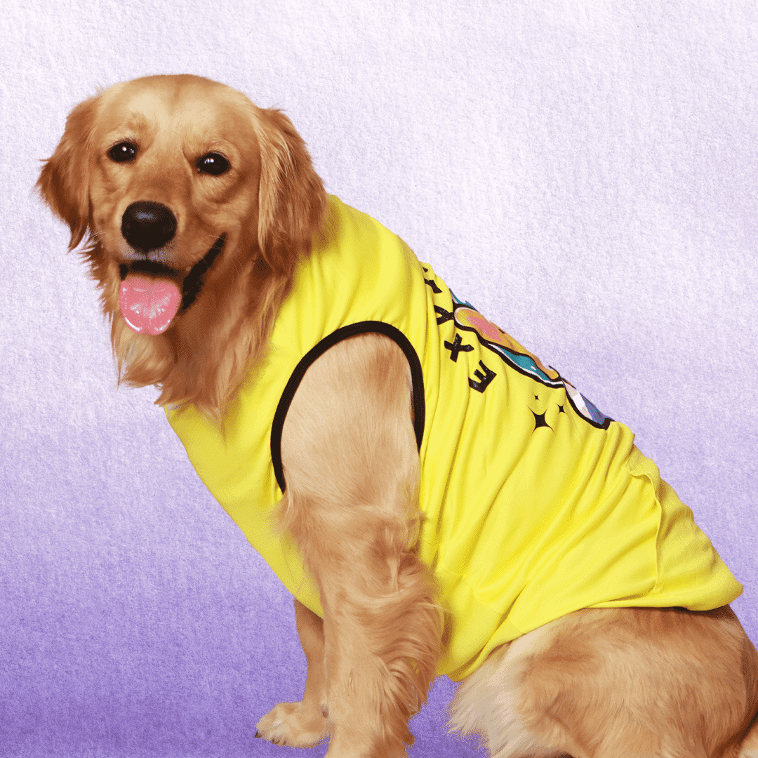 T-Shirt for Dogs - Explorer - Yellow