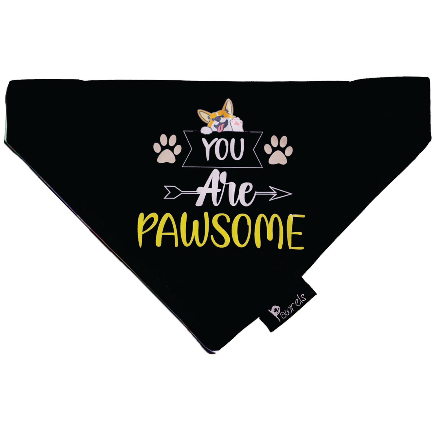 Pawsome Bandana