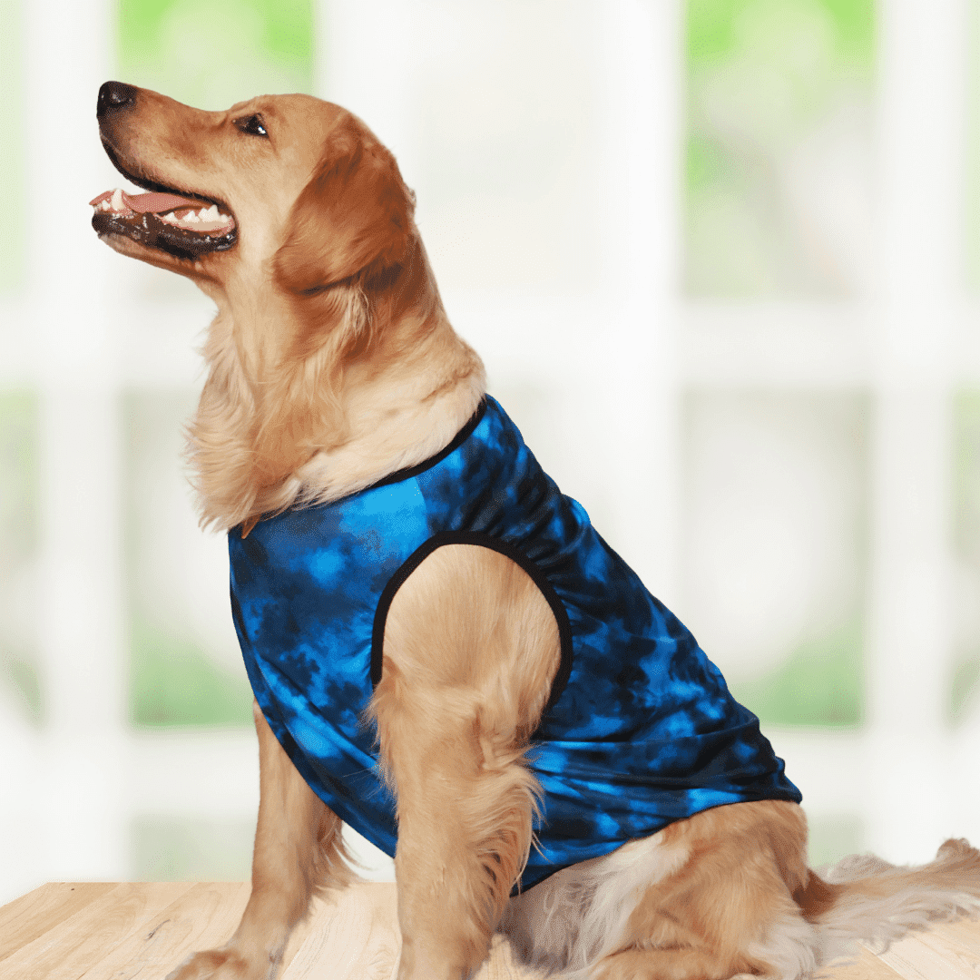 Dog Tees - Tie Dye Blue