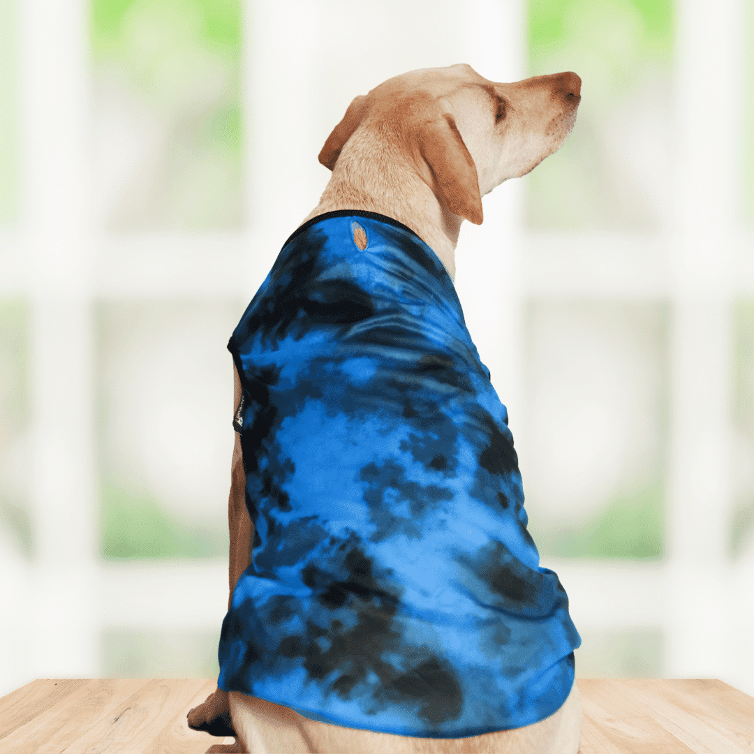 Dog Tees - Tie Dye Blue