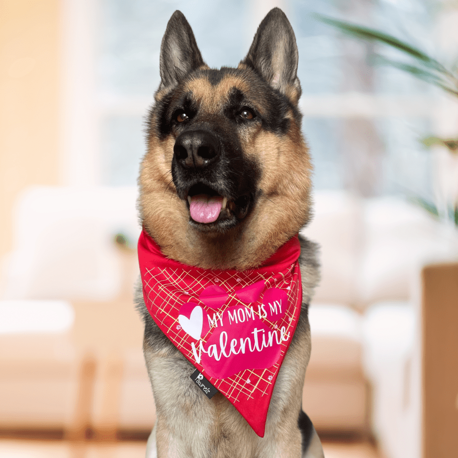 Valentines Day Bandana