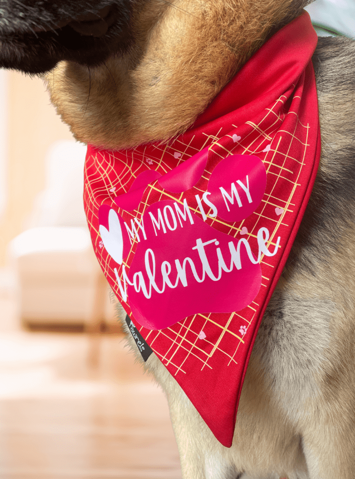 Valentines Day Bandana